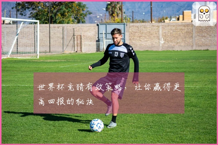 世界杯竞猜有效策略，让你赢得更高回报的秘诀