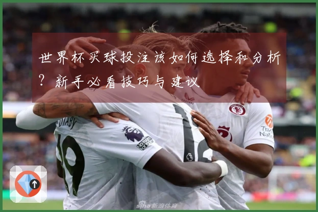 世界杯买球投注该如何选择和分析？新手必看技巧与建议