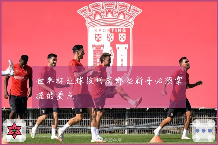 世界杯让球技巧有哪些新手必须掌握的要点