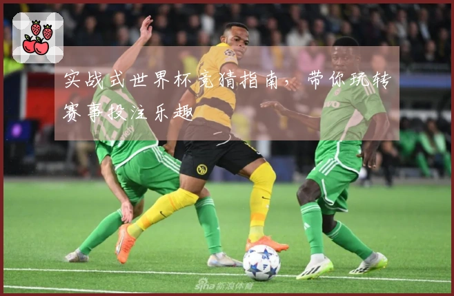 实战式世界杯竞猜指南，带你玩转赛事投注乐趣