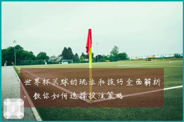 世界杯买球的玩法和技巧全面解析，教你如何选择投注策略